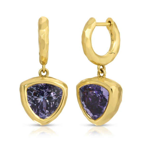 Trillions Tanzanite Hidden Gem Hoops