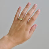 Emerald Cut Diamond Ivy Eternity Band
