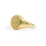 Celestial Signet Ring - Capricorn